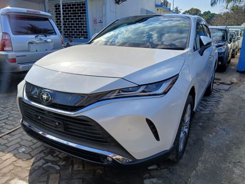 2019 HARRIER MCHONGOKO