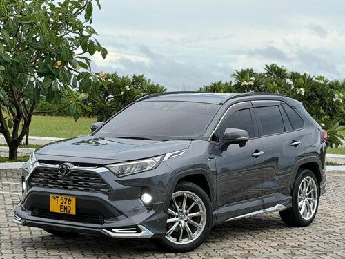 Rav4 rav 4 new model 