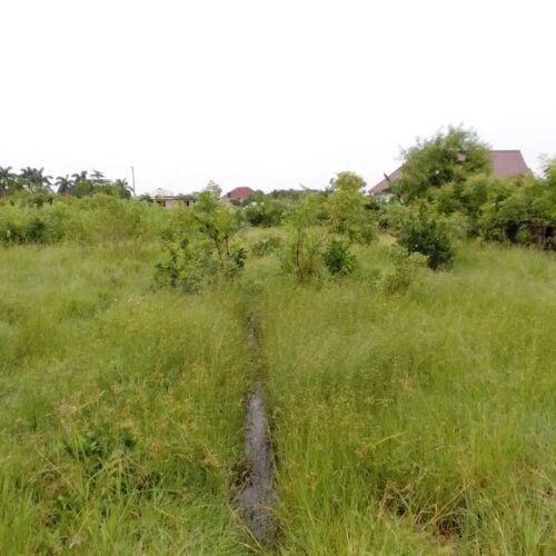 PLOT FOR SALE MBWENI JKT 