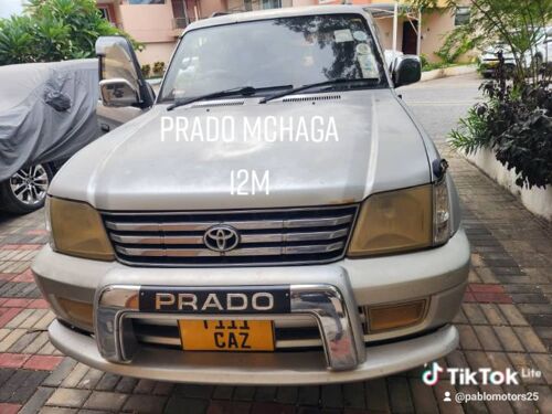 Prado mchaga petrol