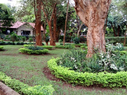 Moshi Houses rent Tanzania