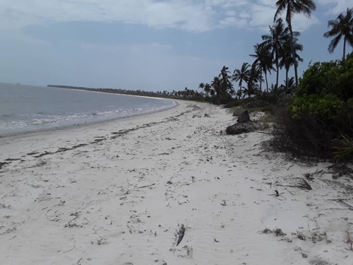 Beach plot for sale at Tanga/ pangani makorora village