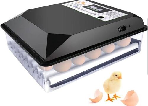 Tunauza egg incubator