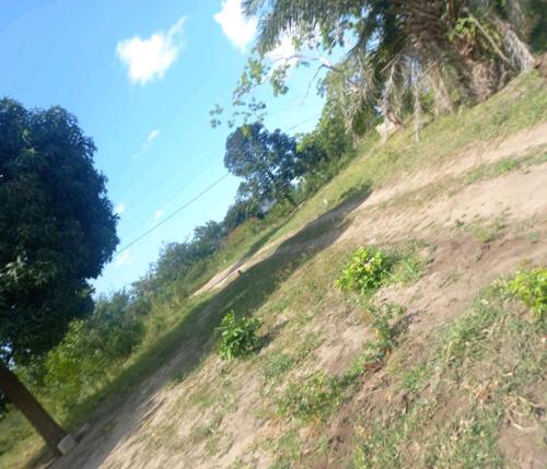 VIWANJA VINAUZWA/ LAND PLOTS FOR SALE  MADALE MIVUMONI