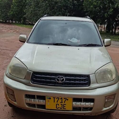 Toyota RAV4 kill time 