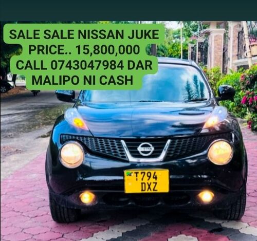 Nissan juke 