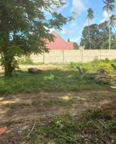 Viwanja Vinauzwa Nyasaka.