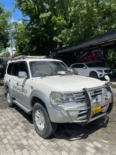 PRADO MCHAGA Mil 12