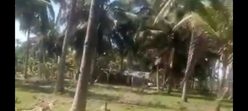 SHAMBA, EKA 15,MKURANGA 