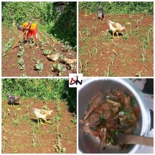 Kiwanja DODOMA NDACHI