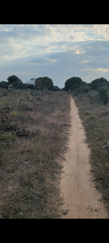 Shamba linauzwa