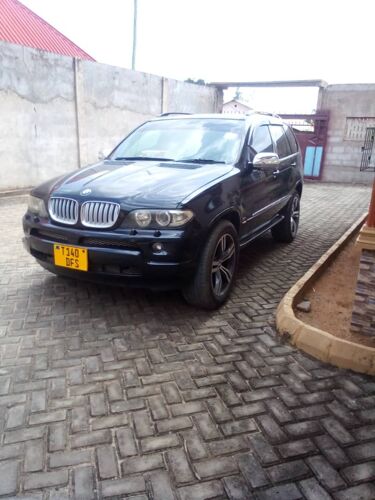 BMW X5. Gari haina kipengele
