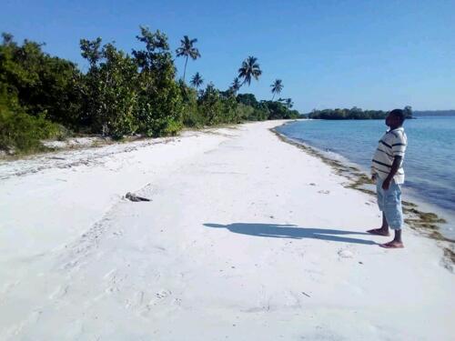 Beach plot for sale at pemba