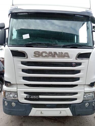 scania chases horse