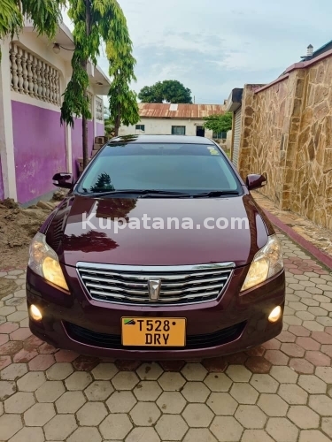 PREMIO NEW NEW MODEL