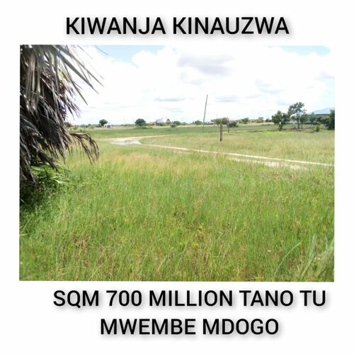 Kiwanja mwembemdogo 