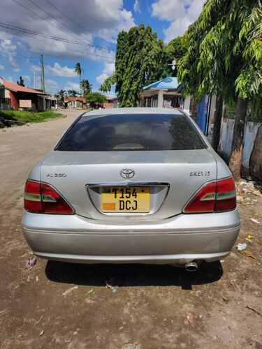 Brevis ipo safii