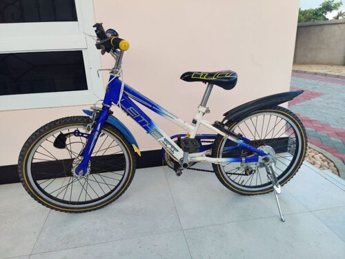 USED LEITNER BIKE WITH GEAR
