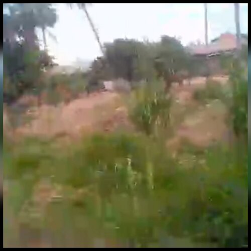BIASHARA NA MAKAZI KONGOWE