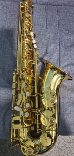 YGY Alto Saxophone 