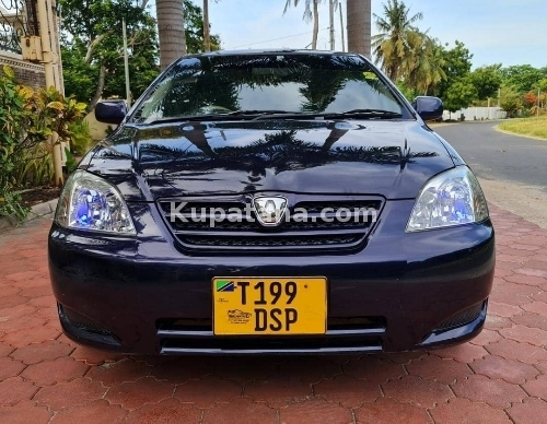 TOYOTA ALLEX