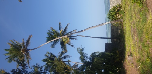 Beachfront Plot of Land in Bwejuu Zanzibar 54m x 70m