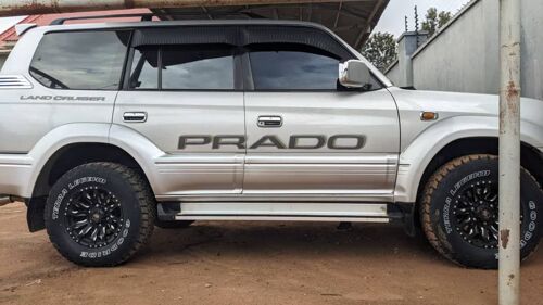 Prado mchaga Namba E petrol