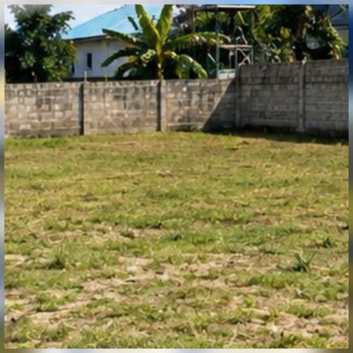 PLOT SQM.500,TABATA KIMANGA 