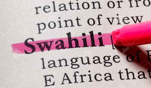 Language Conversation Practice Swahili<>English