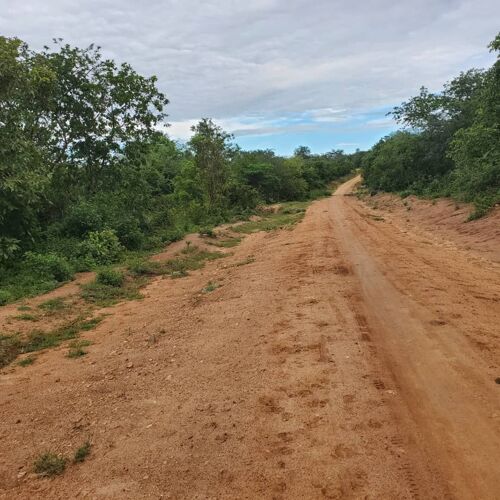 Shamba la eka 100 Linauzwa lot
