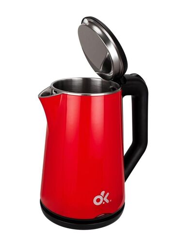 Electric Kettle 