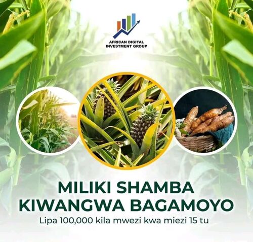 Mashamba Bagamoyo