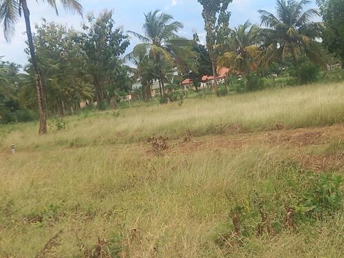 VIWANJA VINAUZWA /LAND PLOTS FOR SALE TEGETA WAZO