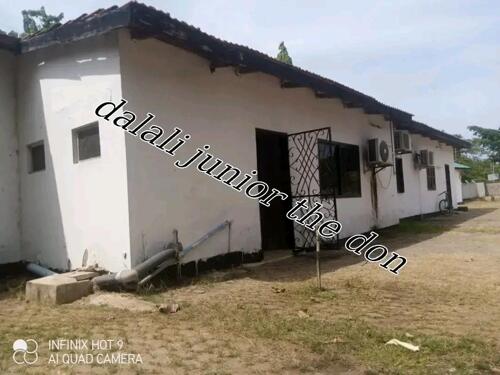 One bedroom apartments for rent
