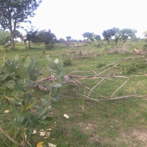 26 acres for sale at morogoro
