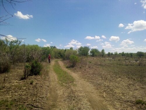 Shamba la eka 15 linauzwa msat