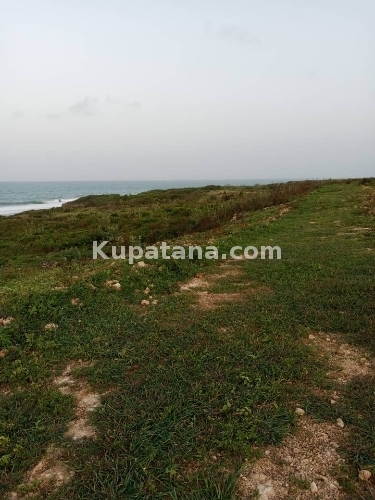 Viwanja Vya Beach Vinauzwa Kigamboni JIJINI Dar Mbutu Mkwajuni Call 0784862313