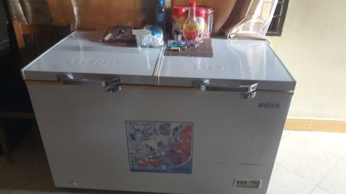 Boss freezer 