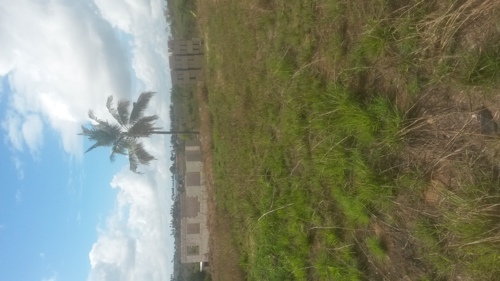 Kiwanja Kisemvule Mwanambaya