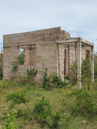 Papara lipo mwanza kisesa