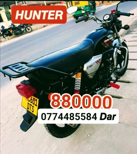 Hunter 