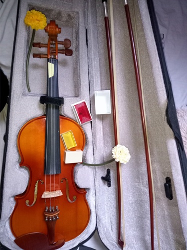 Violin 4/4 for sale