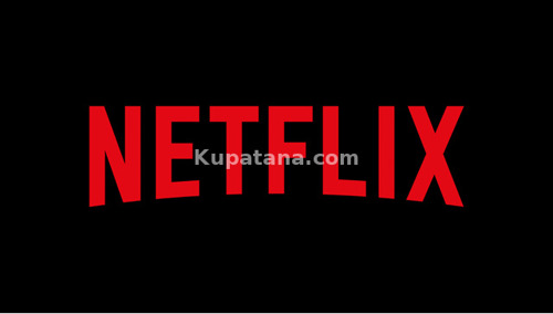 Netflix premium account