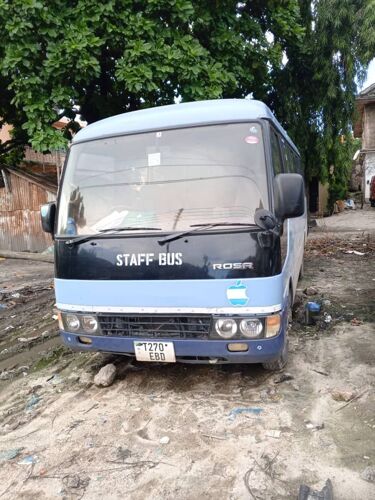 Rosa bus Nzuri EBD