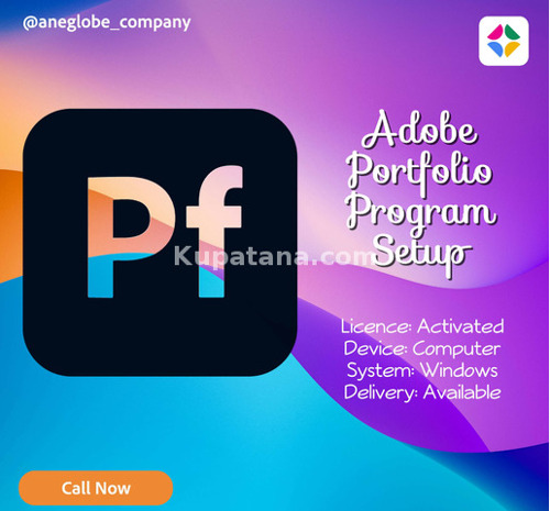 Adobe Portfolio Program Setup Tanzania