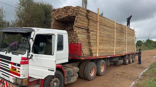 Scania 113 for sale