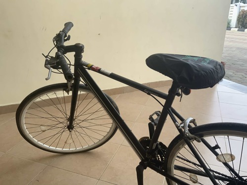 Renault Gordini Sports Bike