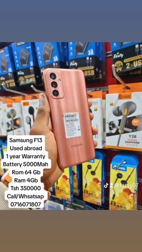 Samsung F13