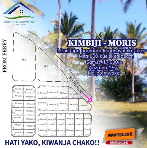 Viwanja kimbiji moris