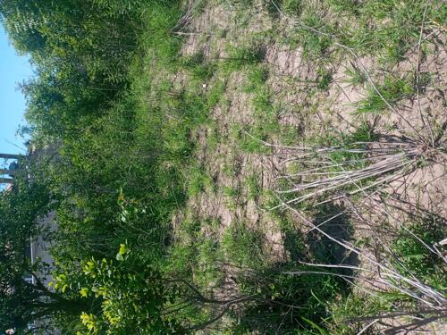Plot for sale